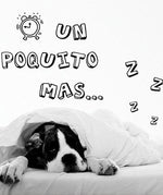 Vinilo Decorativo Adhesivo textos divertidos Colombia Bogota Medellin Cali Barranquilla Bucaramanga