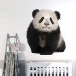 Vinilo Decorativo Adhesivo Real Panda Impresión