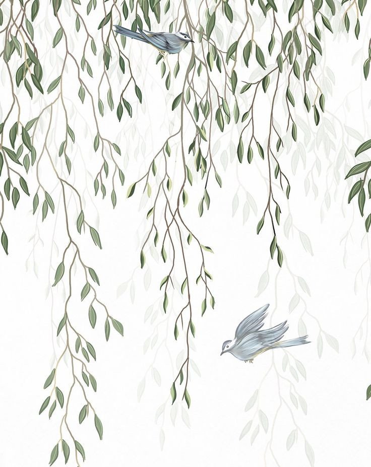 Papel Tapiz Adhesivo Pajaros Acuarela