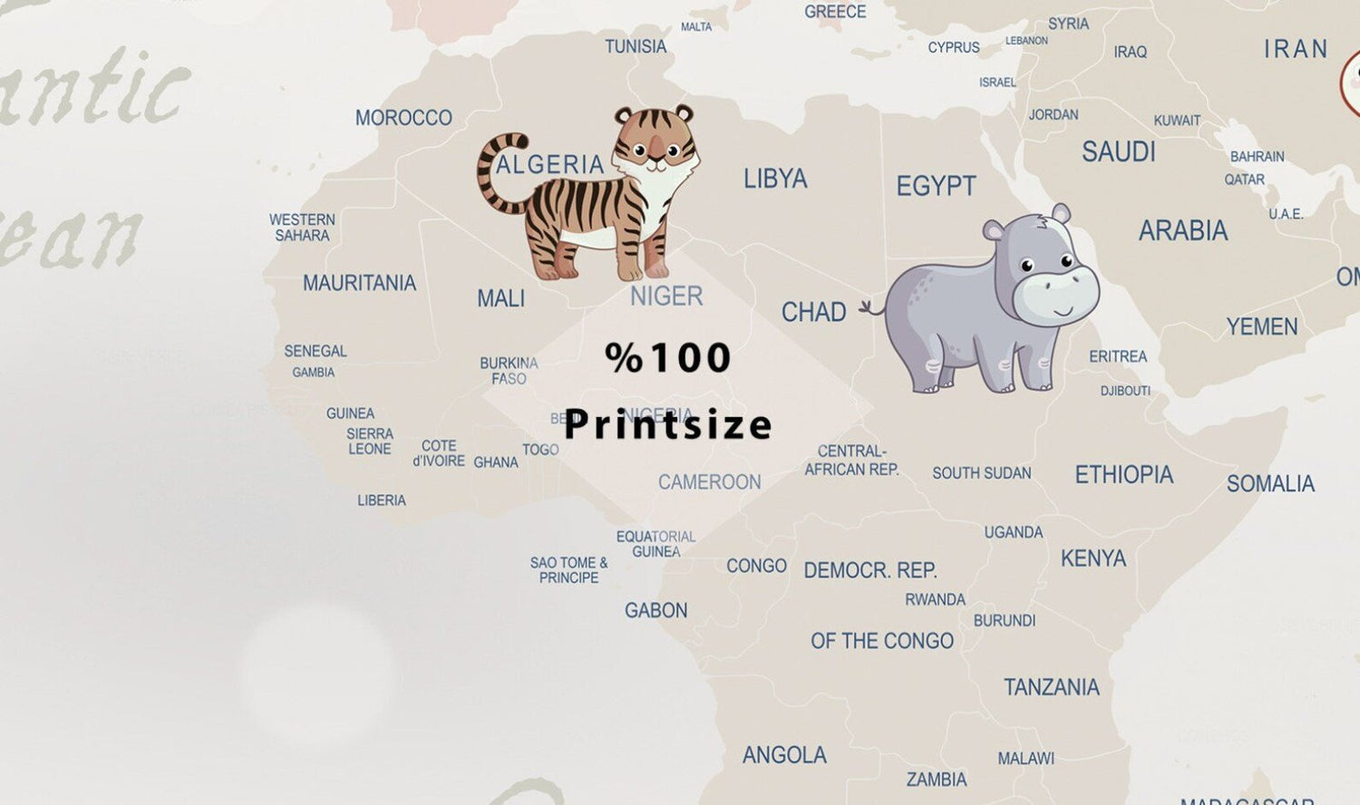 Papel Tapiz Papel de Colgadura Adhesivo Mapa Animales