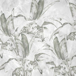 Papel Tapiz Adhesivo Decorativo - Plantación de Plátanos
